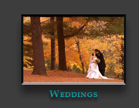 Find your dj, photographer, or videographer at WeDJ.com